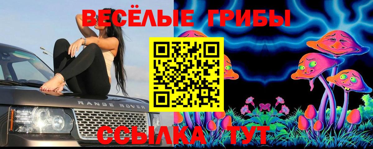 Галлюциногенные грибы мухоморы  Вход с VPN  Махачкала  Галлюциногенные грибы Psilocybe 
